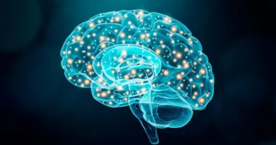 Neurologista revela os 5 truques para o “cérebro demorar a envelhecer”