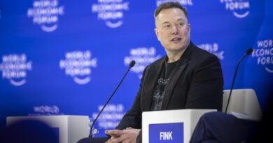 Musk alega excessos em lei que proíbe gerar imagens de nudez e processa estado democrata
