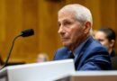 Estados republicanos abrem investigações contra Fauci